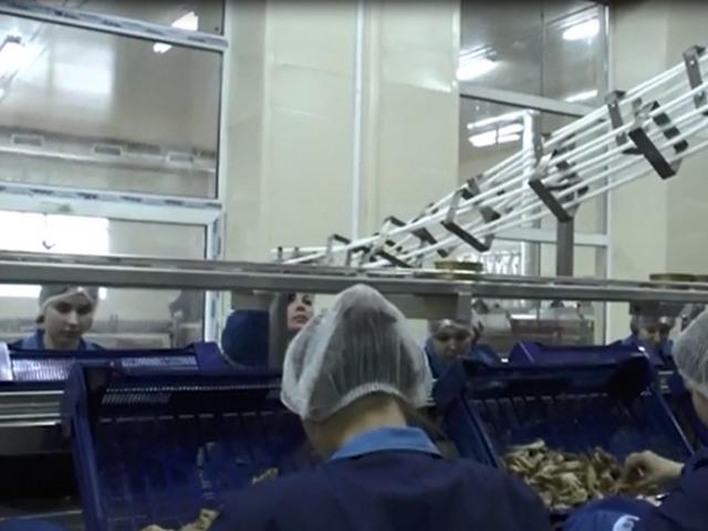 Гравитационная направляющая для пустой жестяной тары в Медногорске